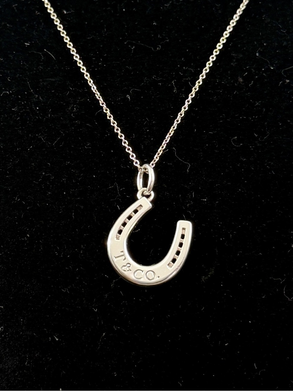TIFFANY & CO. Sterling Silver T & Co. Horseshoe Charm Pendant Necklace w/ COA*